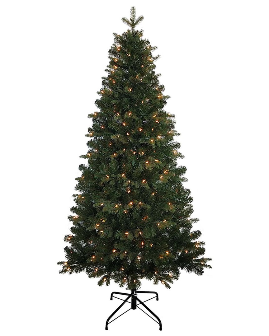 Kurt Adler 6-foot Pre-lit Clear Incandescent Studio Spruce Tree In Green