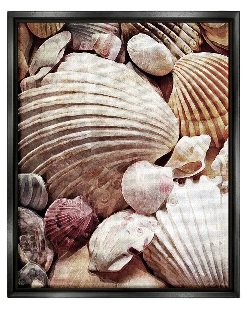 Stupell Various Nautical Clam Conch Shells Framed Floater Canvas Wall Art By Ashley Aldridge