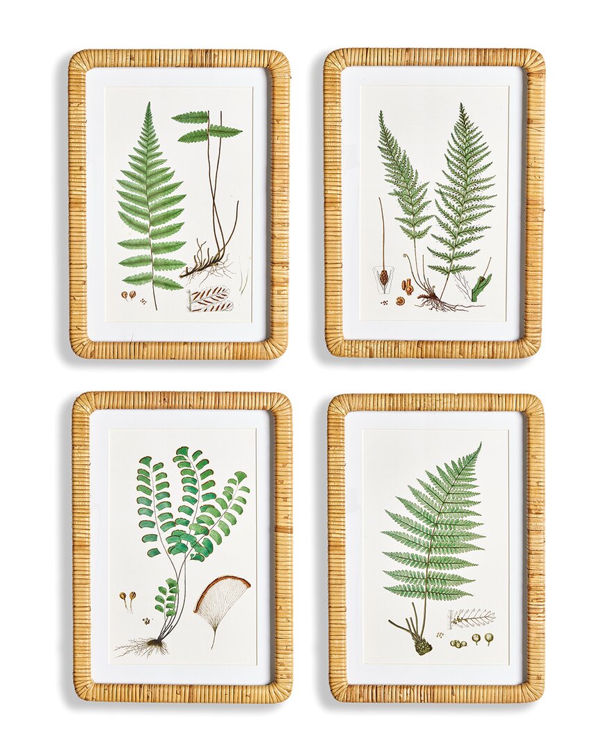 Napa Home & Garden Forest Fern Prints, Set Of 4 In Green