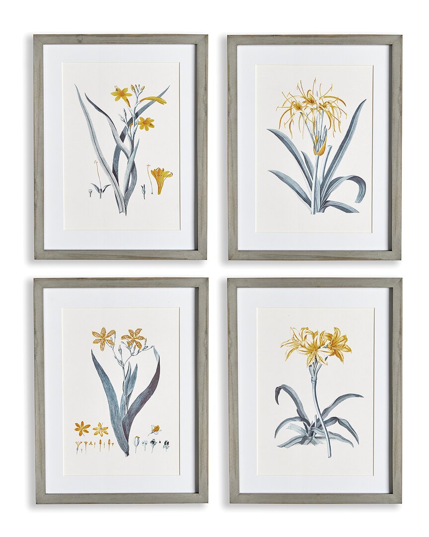 Napa Home & Garden Daffodil Prints, Set Of 4 In Yellow