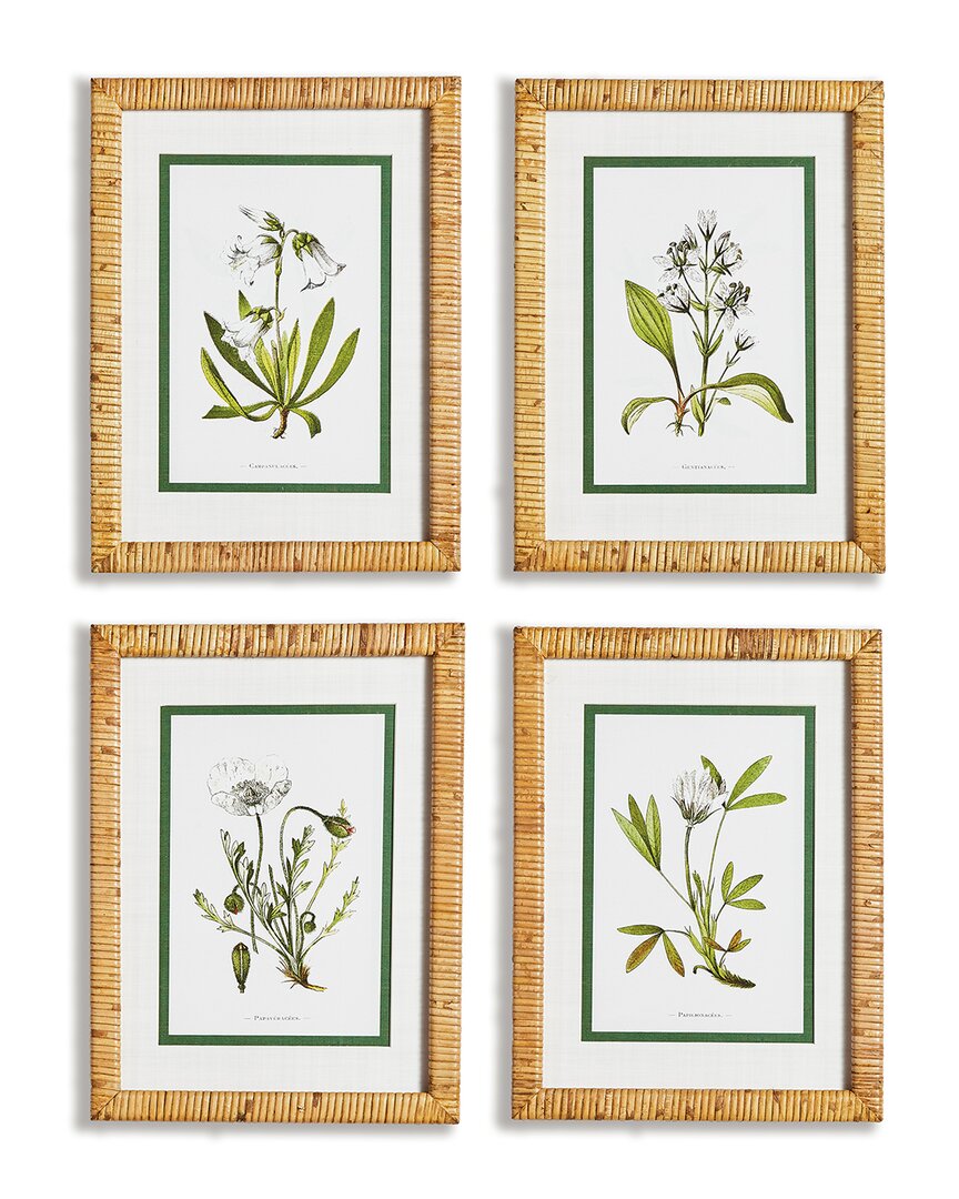Napa Home & Garden White Floral Study, Set Of 4 In Green