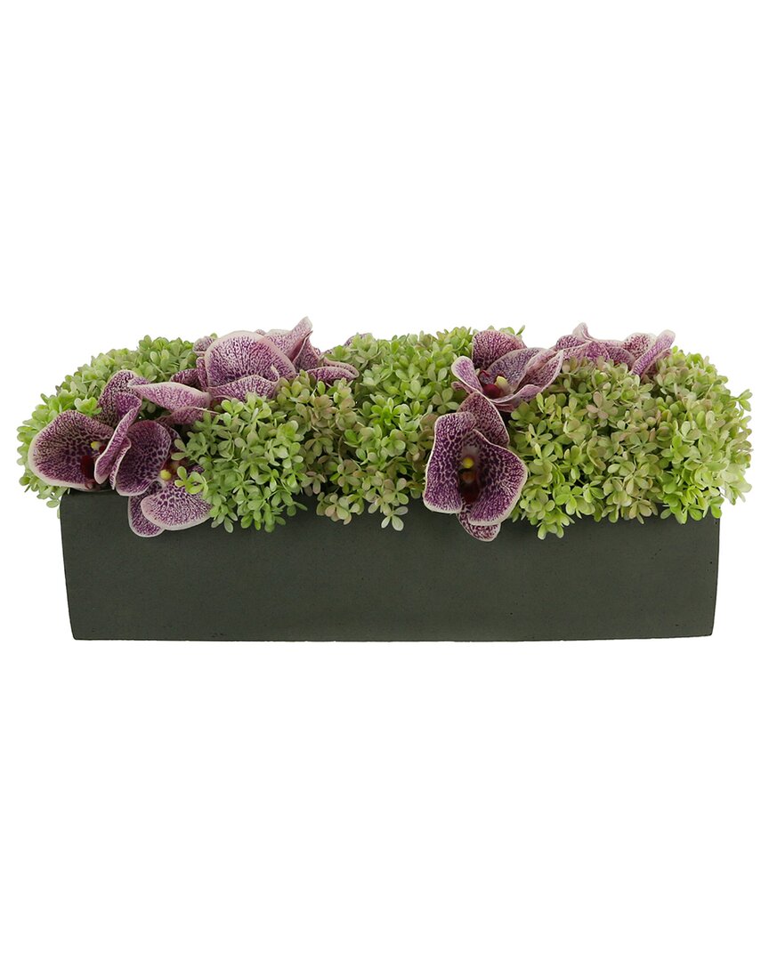 Creative Displays Orchid And Snowball Hydrangea Arrangement In A Fiberstone Planter In Purple