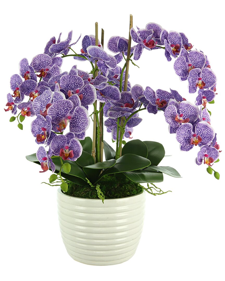 Creative Displays Purple Orchid Arrangement In A Round Planter
