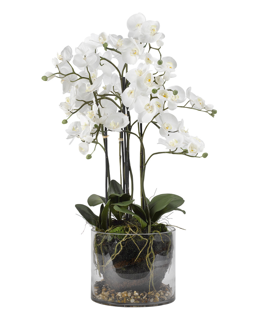 D&w Silks White Orchids In Glass Dish