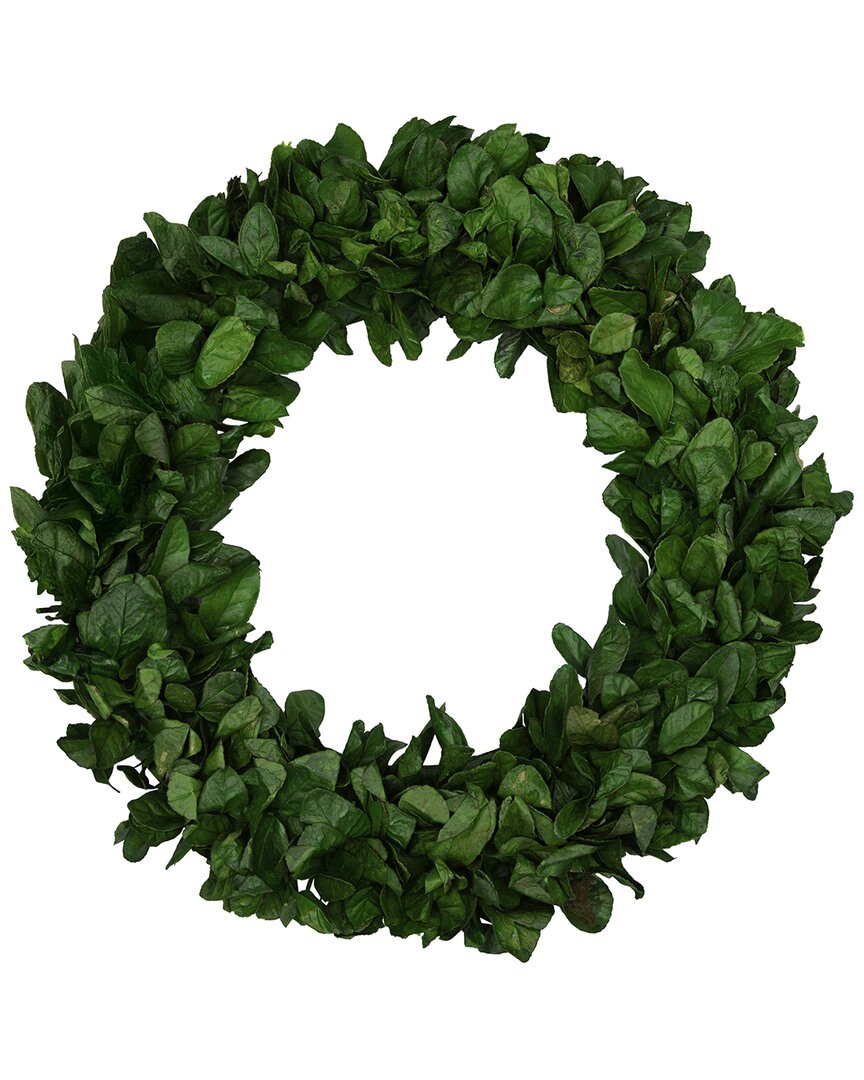Northlight Preserved Leaf Garden Wreath In Green