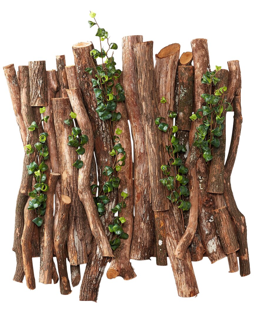 D&w Silks Wall Hanging Dragonwood With Ficus Benjamina In Brown
