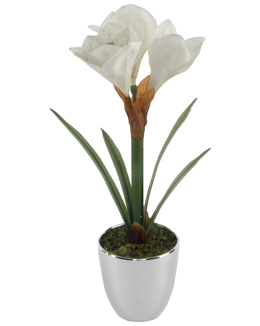Flora Bunda 20in Tall Amaryllis In Silver Plated Pot In Ivory