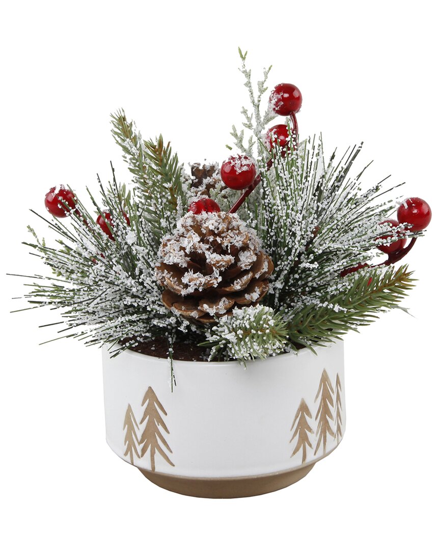 Flora Bunda Xmas Mix In 4.25in Ceramic Reverse Tree Pot In White