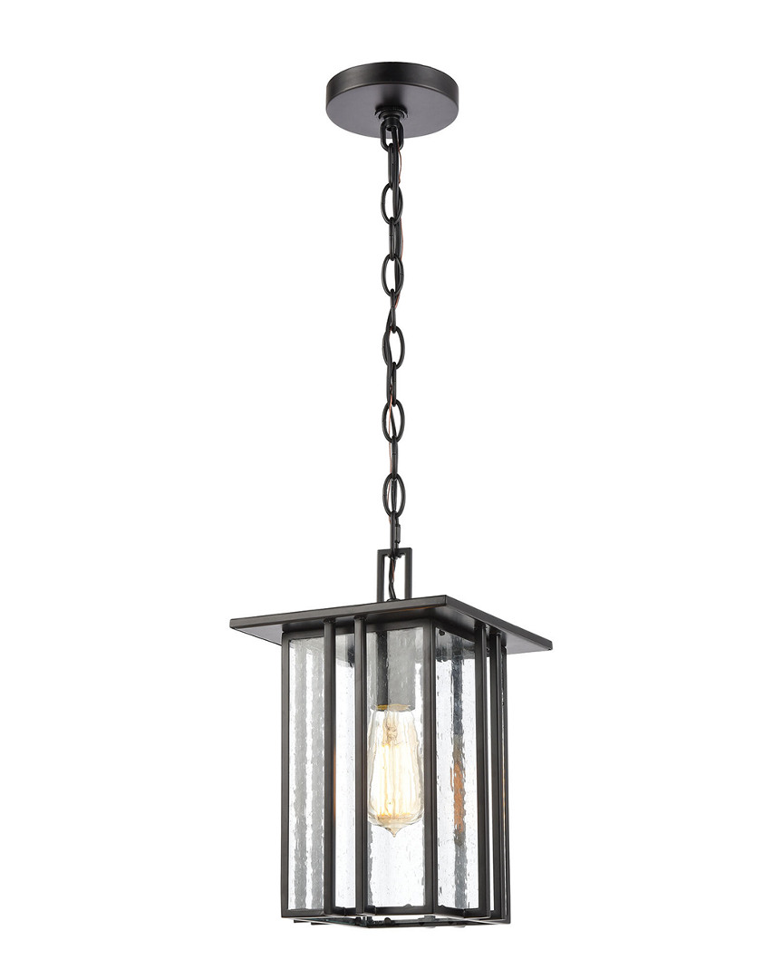 Artistic Home & Lighting Radnor 1-light Hanging In Black