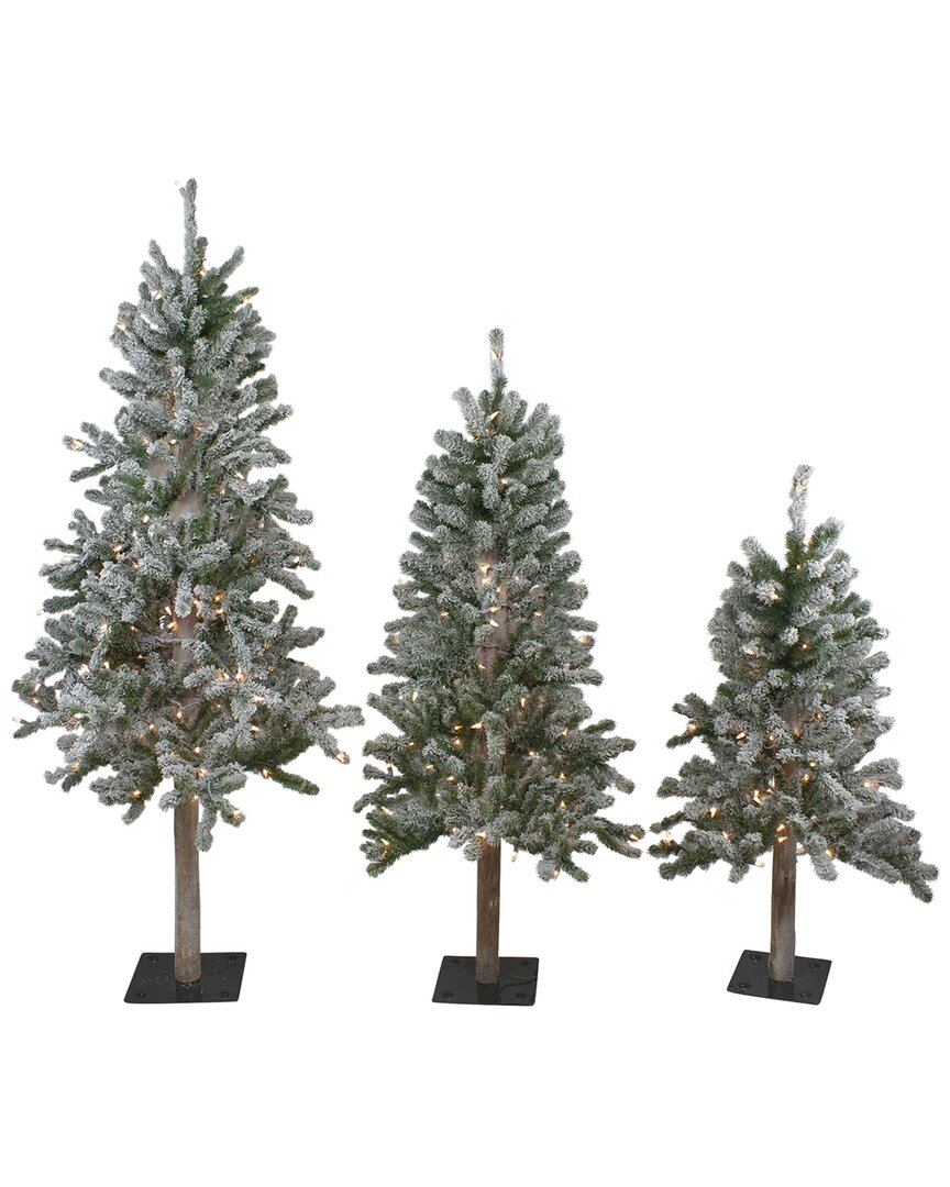 Shop Northern Lights Northlight Set Of 3 Pre-lit Slim Flocked Alpine Artificial Christmas Trees 5ft - Clear Lights In Green