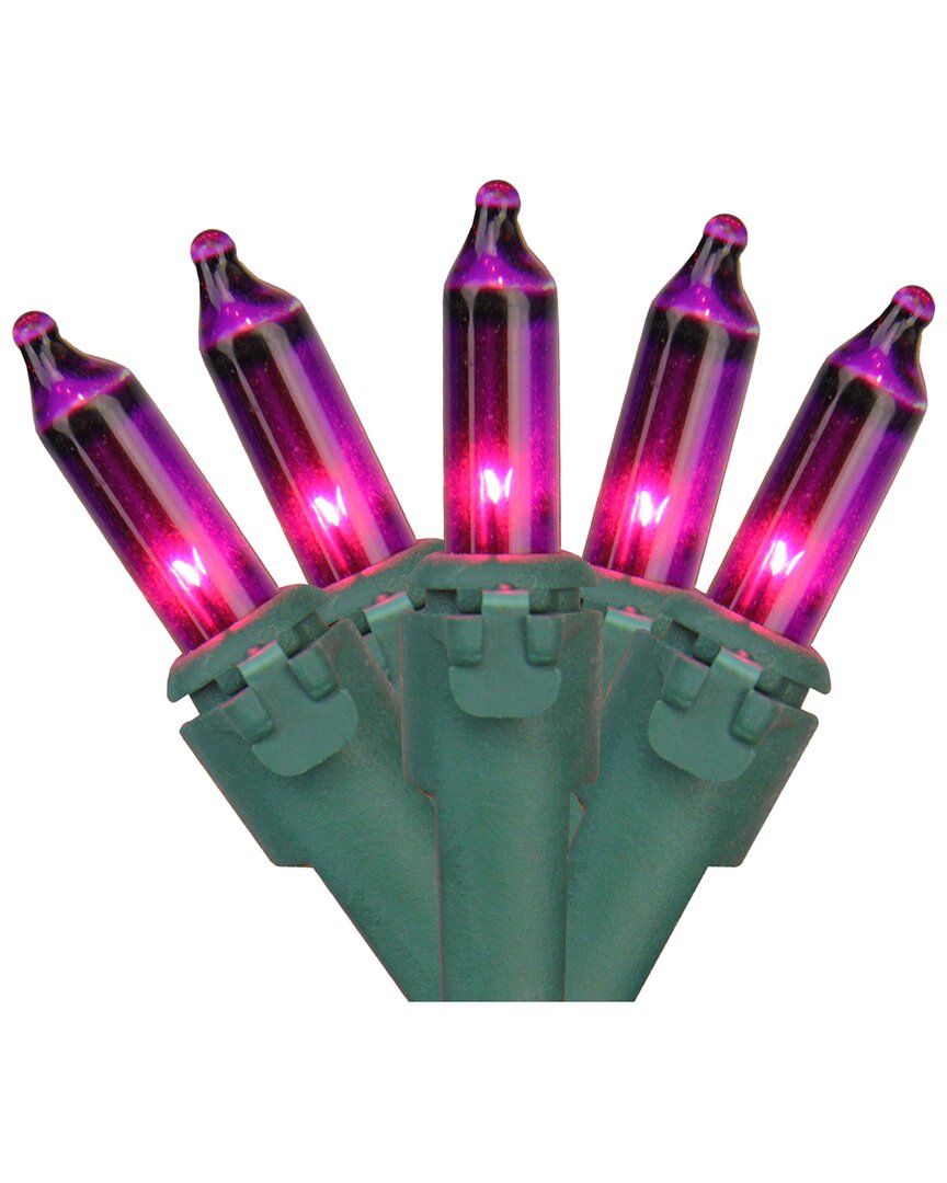 Northern Lights Northlight 100-count Purple Mini Christmas Light - 20.25ft Green Wire In Purple