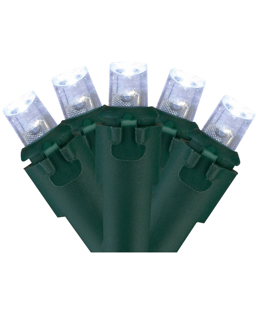 Northern Lights Northlight 100 White Led Wide Angle Christmas Lights - 33 Ft Green Wire In White