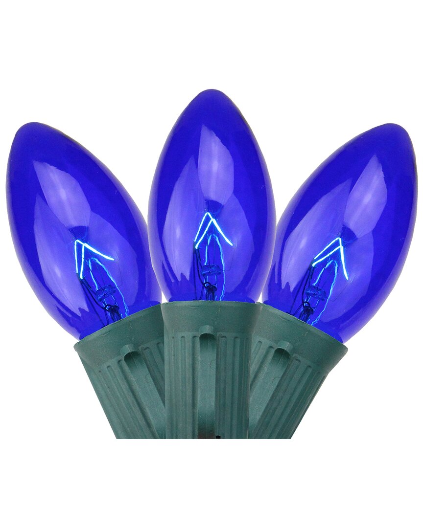 Northern Lights Northlight 25 Blue Transparent C9 Christmas Lights - 24 Ft Green Wire In Blue