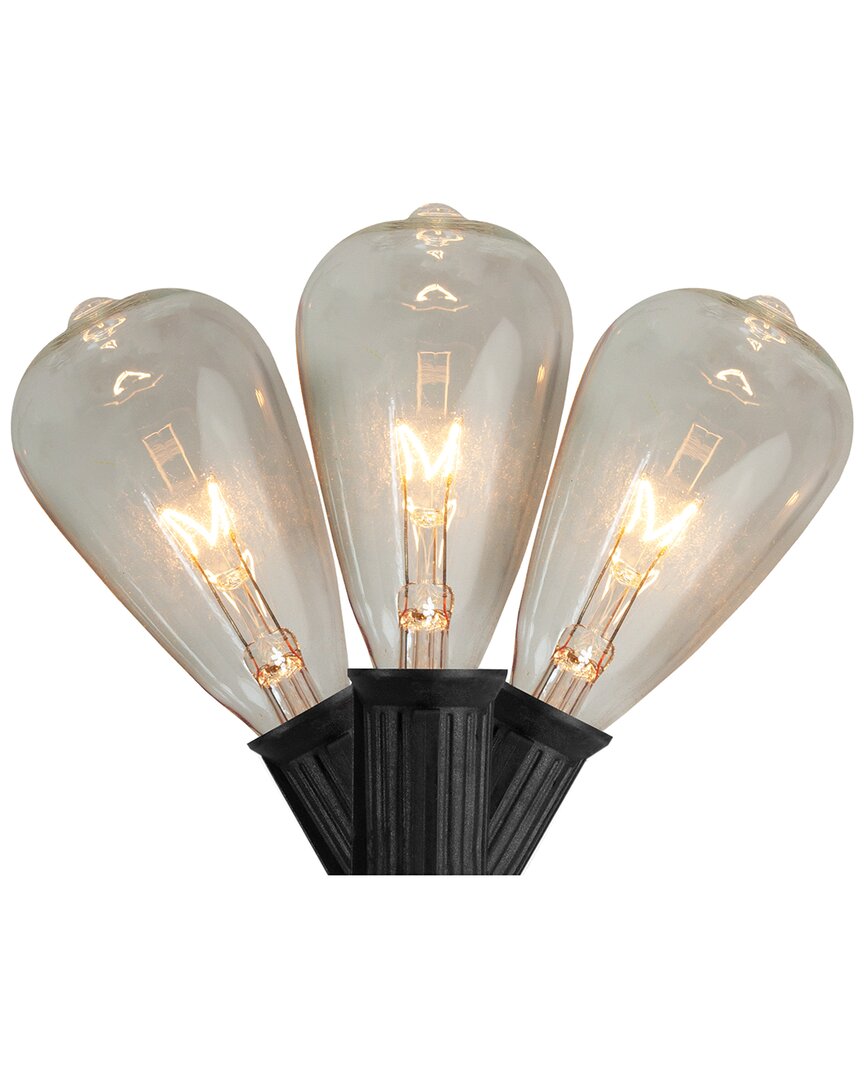 Northern Lights Northlight 10 Count Clear Edison Glass Patio Lights 9ft Black Wire In Black