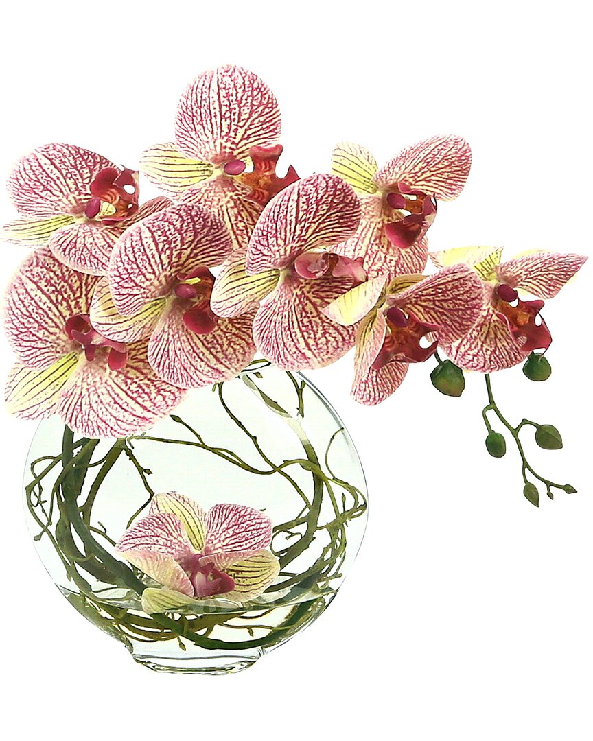 Creative Displays Orchid Floral In Glass Vase With Vines In Pink