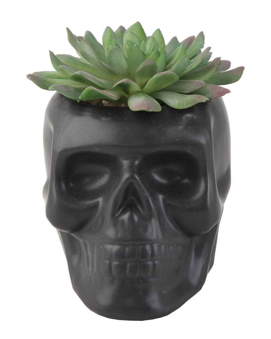 Flora Bunda 4.5x3.5 Ceramic Sugar Skull Succulent In Black