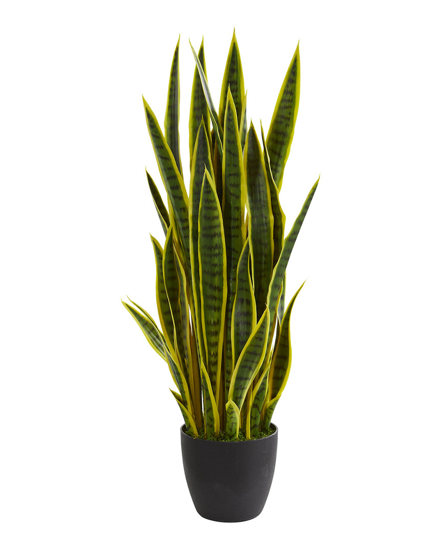 Shop Nearly Natural Sansevieria Artificial Plant