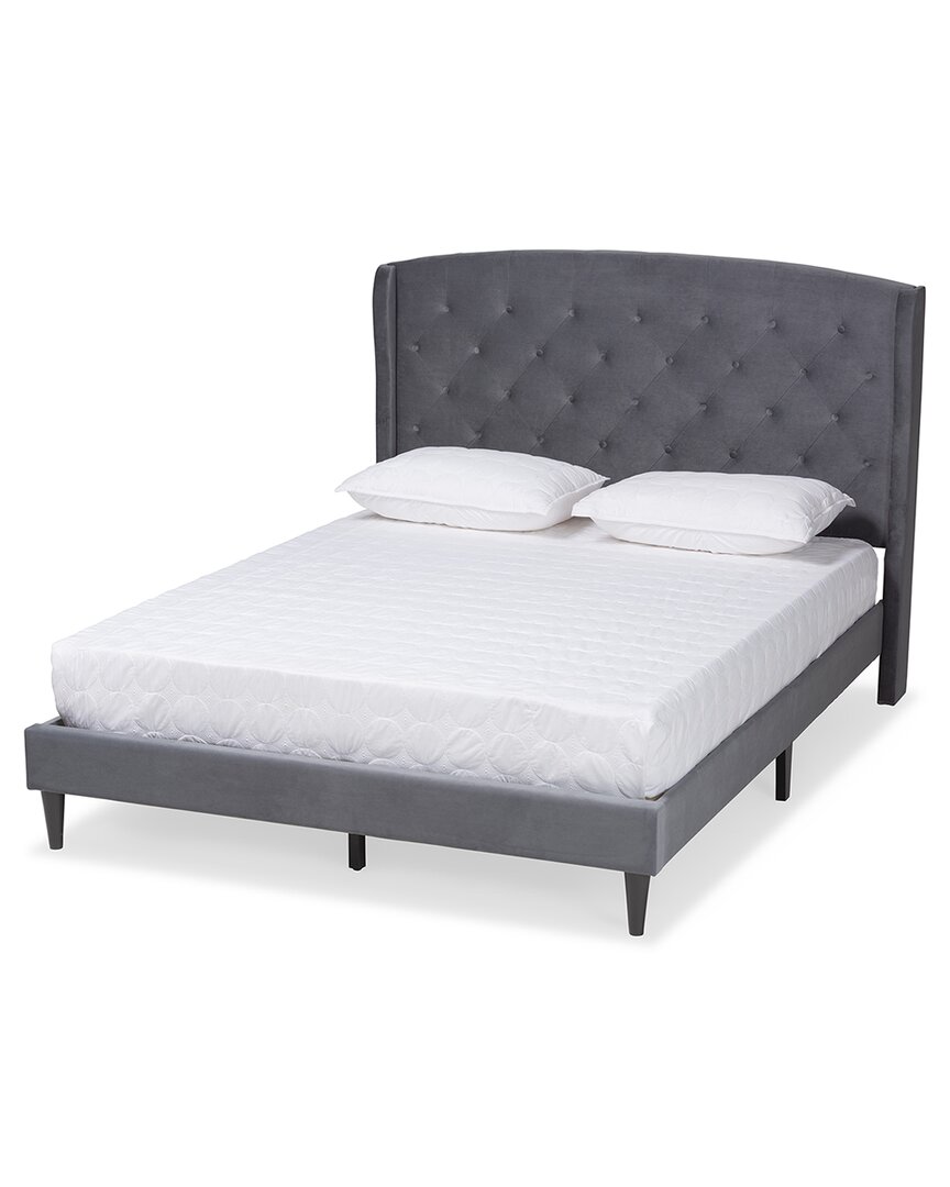 Baxton Studio Joanna Modern Contemporay Velvet Upholstered Platform Bed In Grey