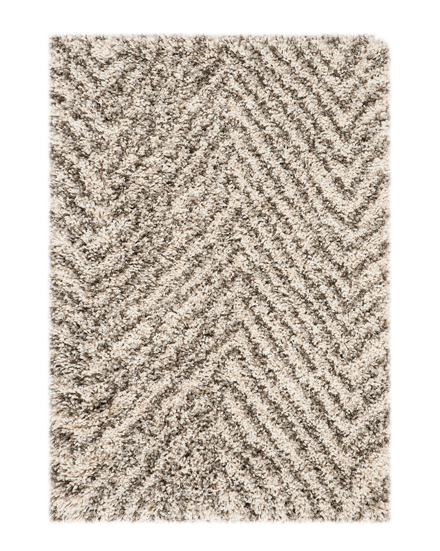 Safavieh Hudson Shag Rug