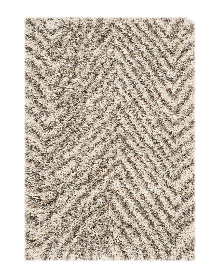 Shop Safavieh Hudson Shag Rug