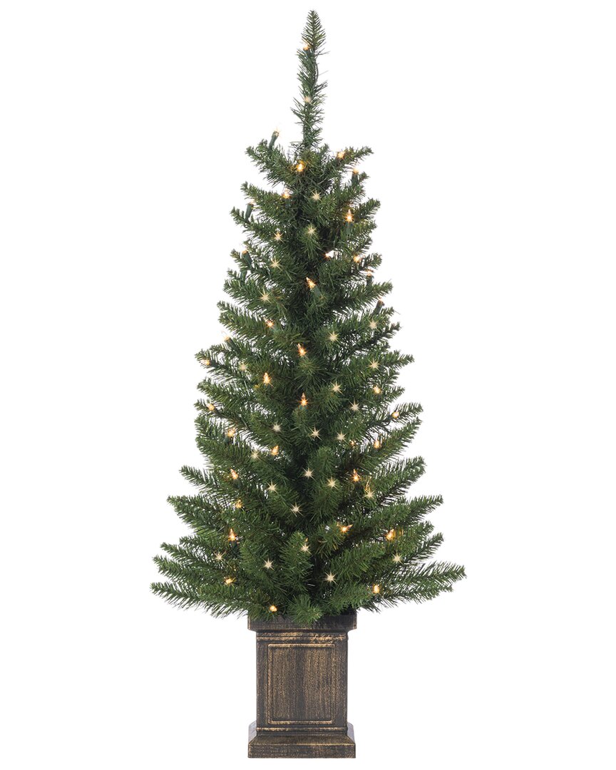 Sterling Tree Company 3.5ft Potted Colorado Spruce With 50 Clear Led Lights In Green