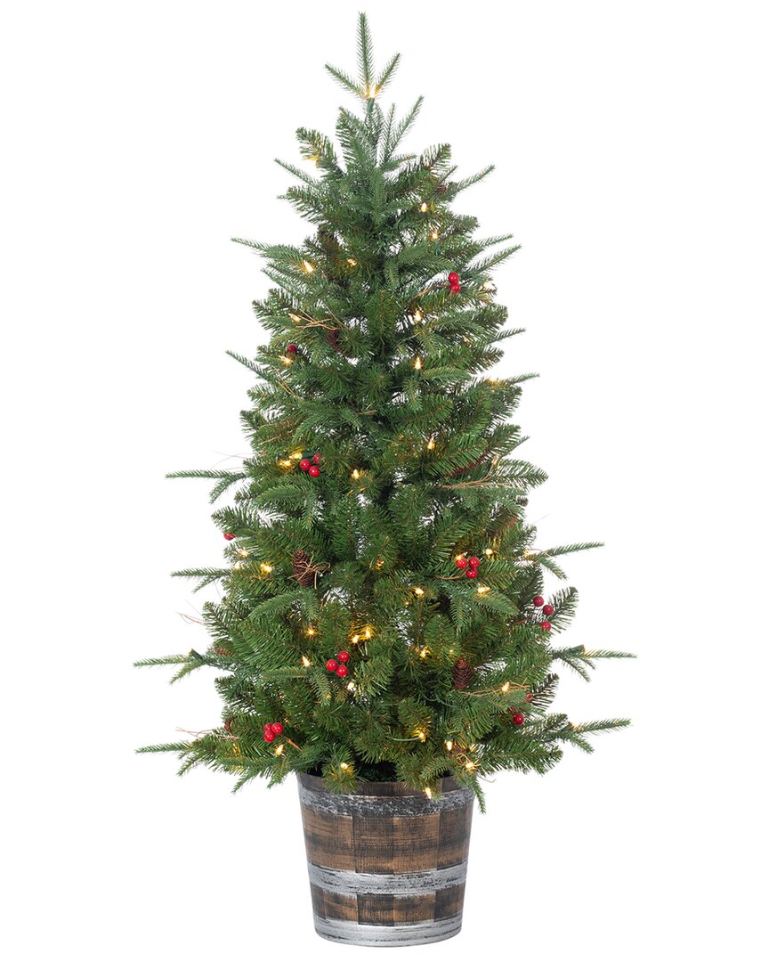 Sterling Tree Company 4ft Potted Natural Cut Hudson Pine With Pine Cones And Red Berries And 100 Warm White Lights In Green