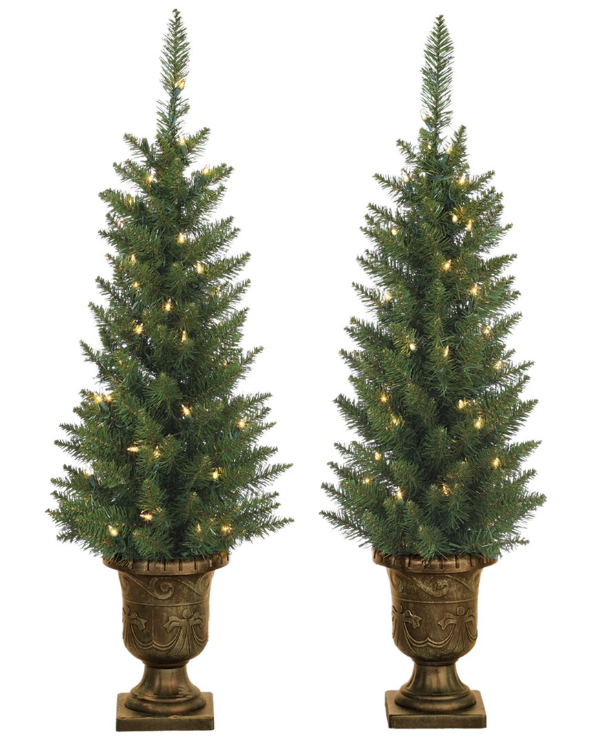 Sterling Tree Company 3.5ft Potted Norway Pine With 50 Clear Lights (set Of 2) In Green