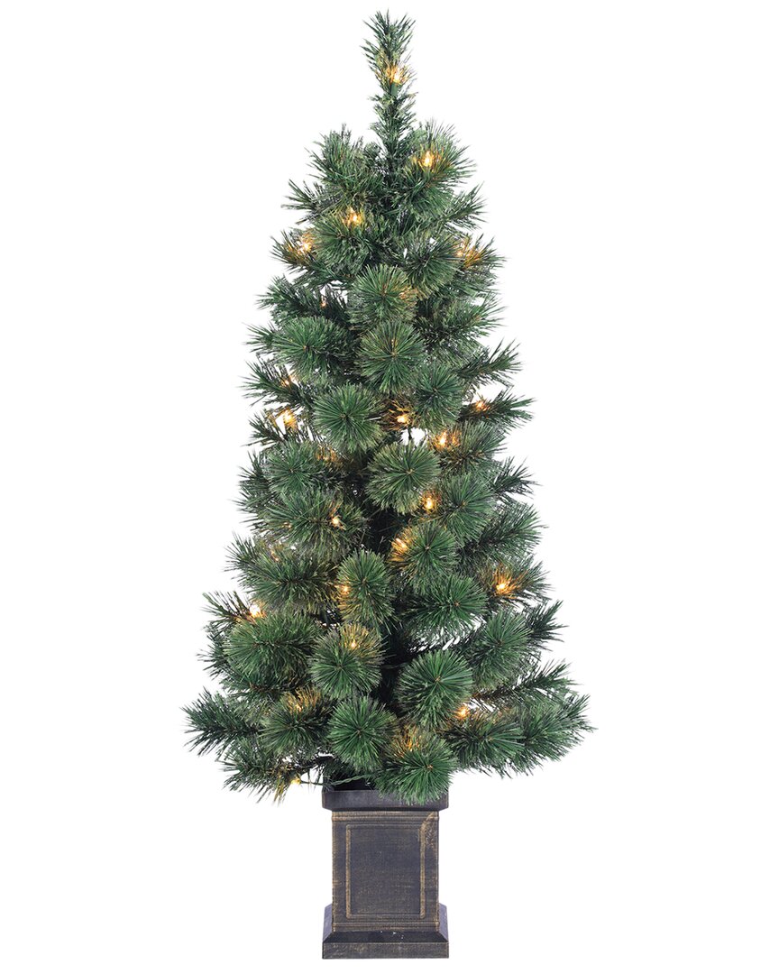 Sterling Tree Company 3.5ft Potted Deluxe Hard Needle Cashmere Pine With 50 Clear Lights In Green