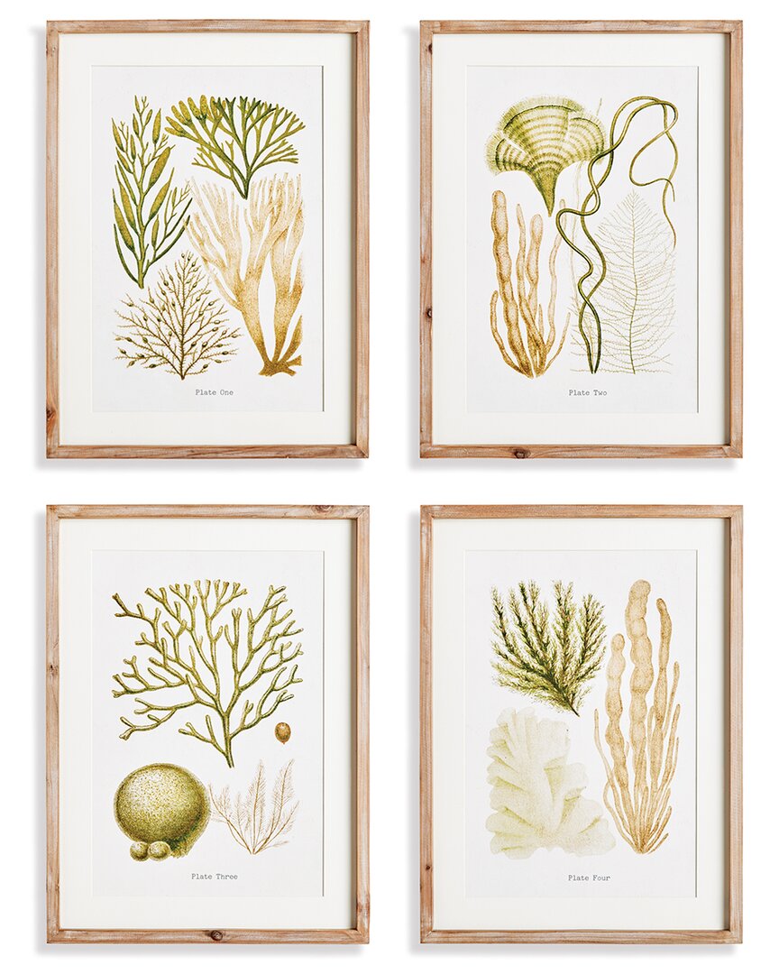 Napa Home & Garden Set Of 4 Verdant Coral Study In Beige