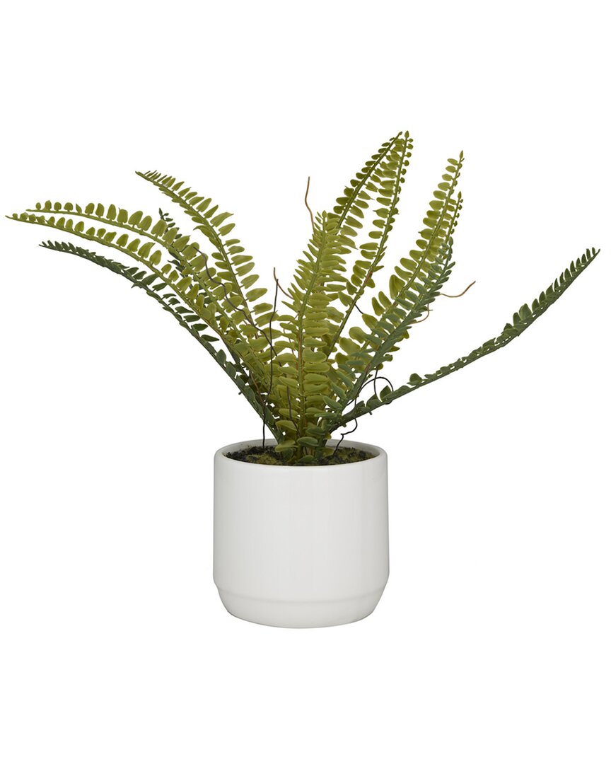Peyton Lane Fern Green Faux Foliage Artificial Plant With White Ceramic Pot In Green