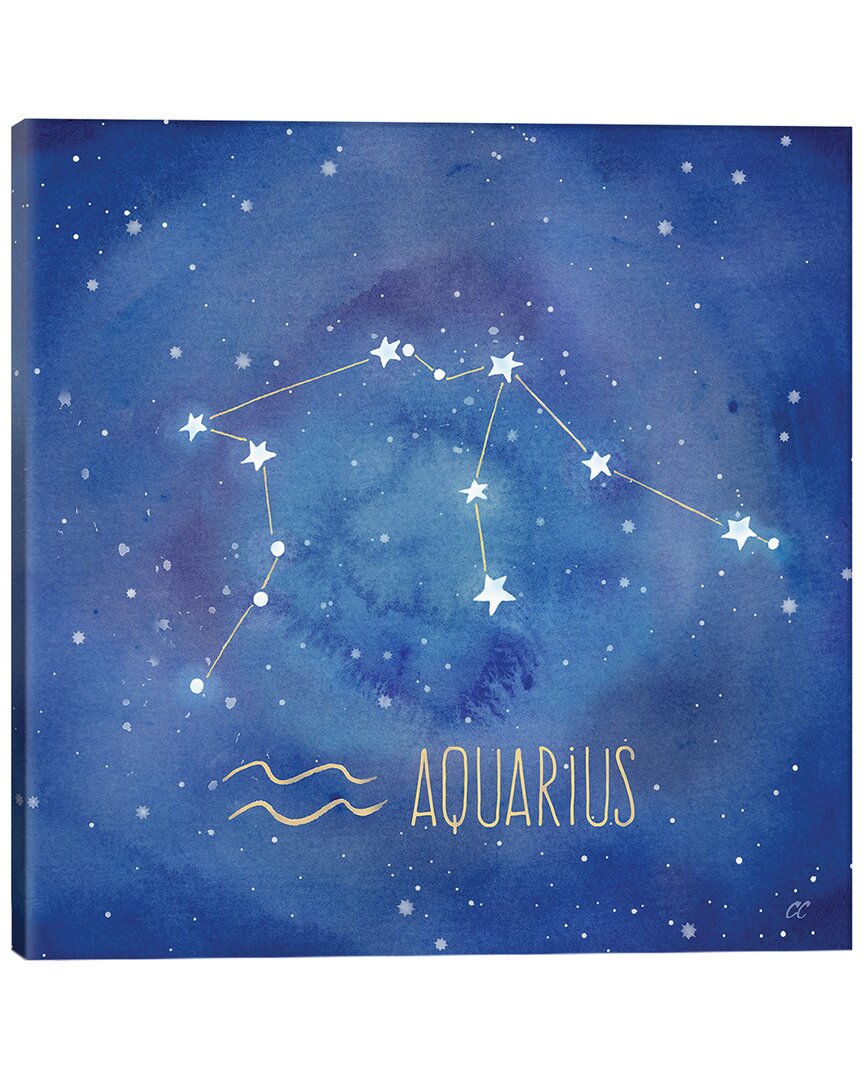 Icanvas Star Sign Aquarius By Cynthia Coulter Wall Art