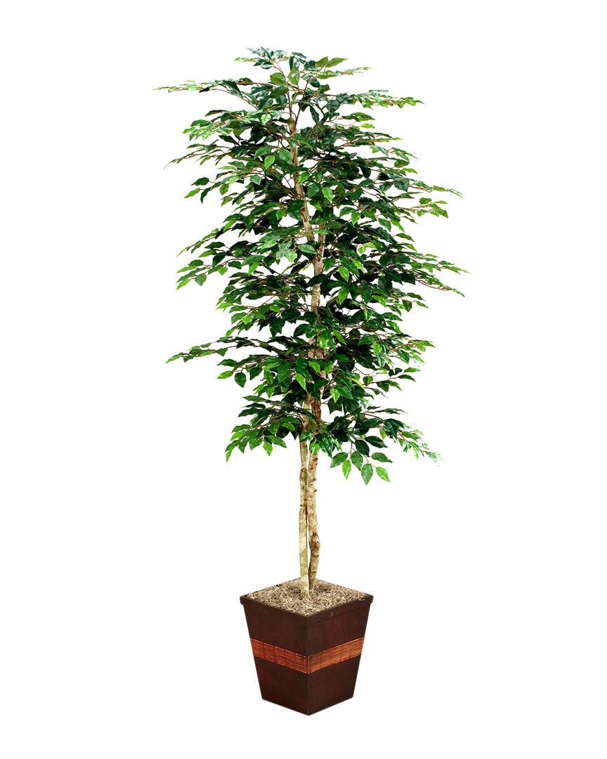 D&w Silks 7' Green Ficus In Square Metal Planter