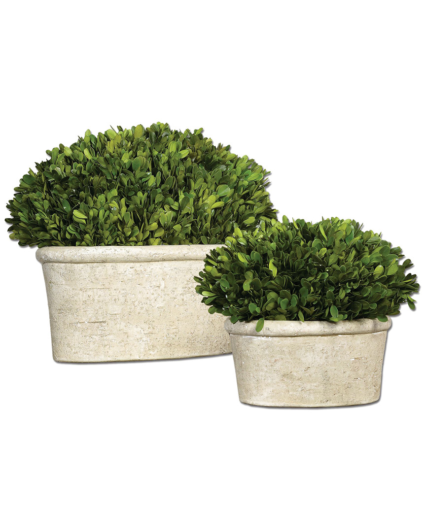 Uttermost Oval Domes Preserved Boxwood