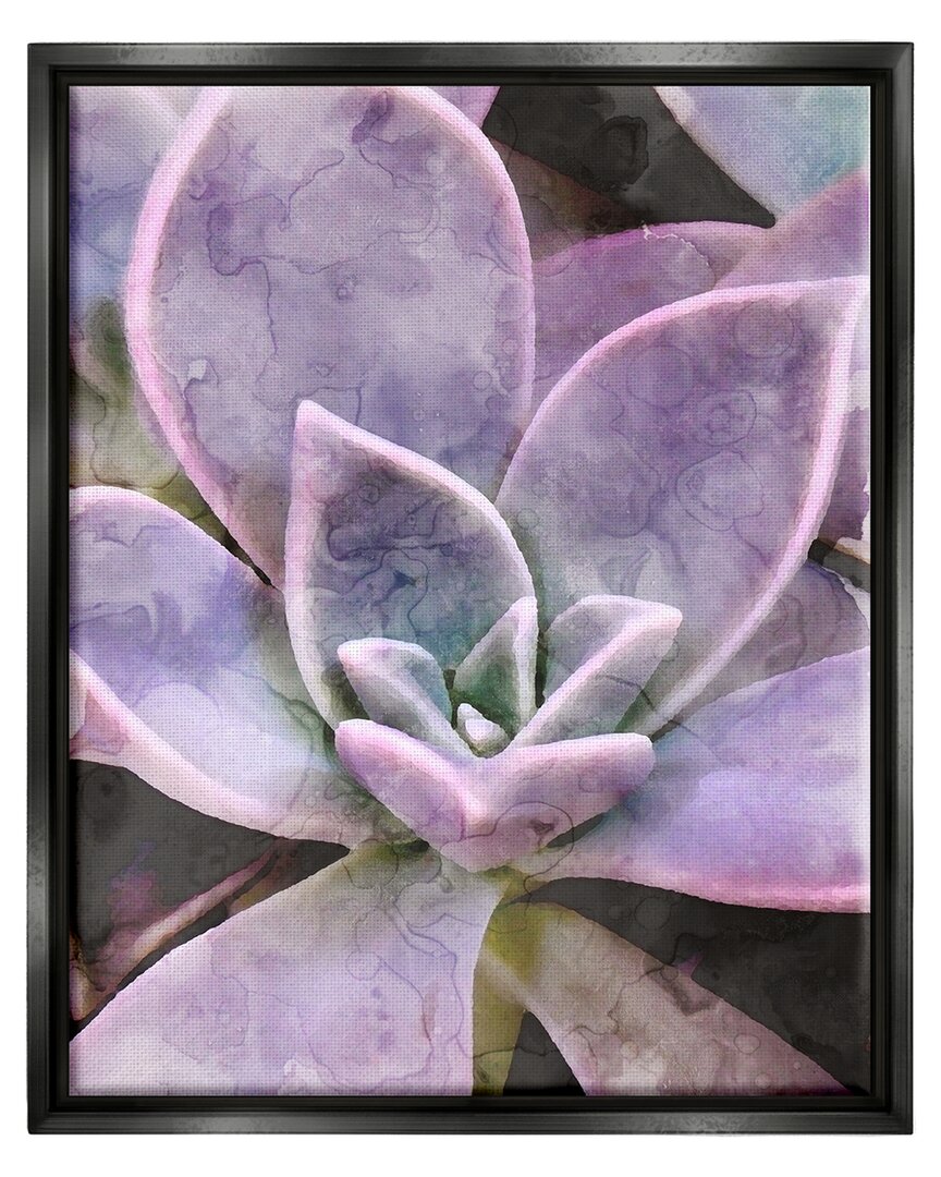 Stupell Purple Succulent Close Up Framed Floater Canvas Wall Art By Daphne Polselli