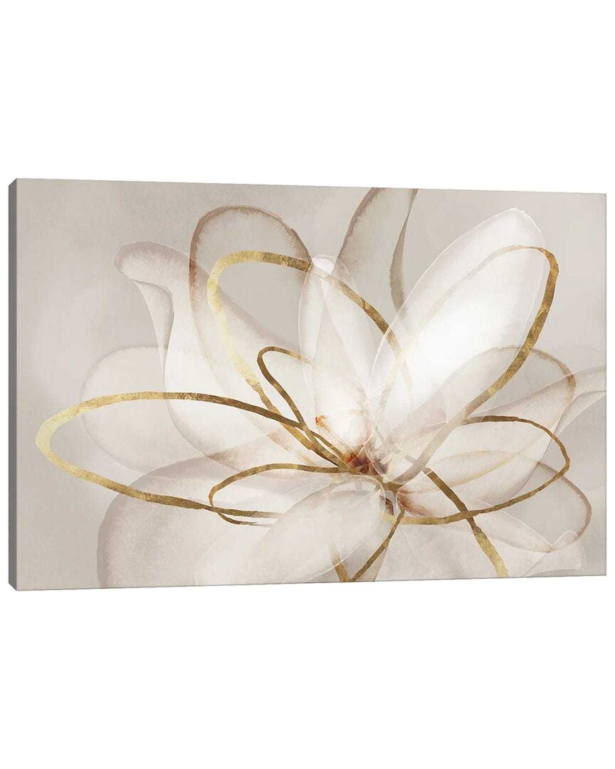 Shop Icanvas Transparent Beauty Iii By Eva Watts Wall Art