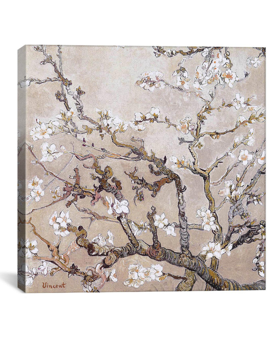 Icanvas Almond Branches In Bloom San Remy, C. Canvas Wall Art