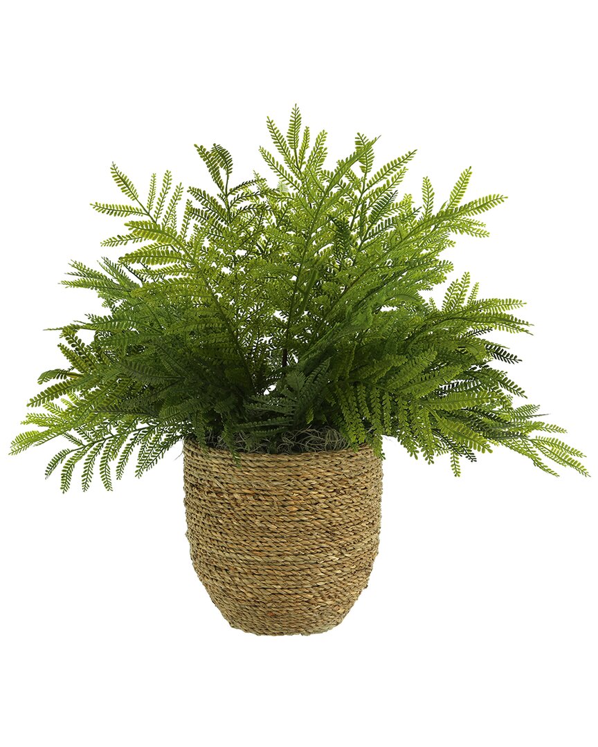 Creative Displays Outdoor Uv-rated Ostrich Fern In Straw Grass-wrapped Pot In Green
