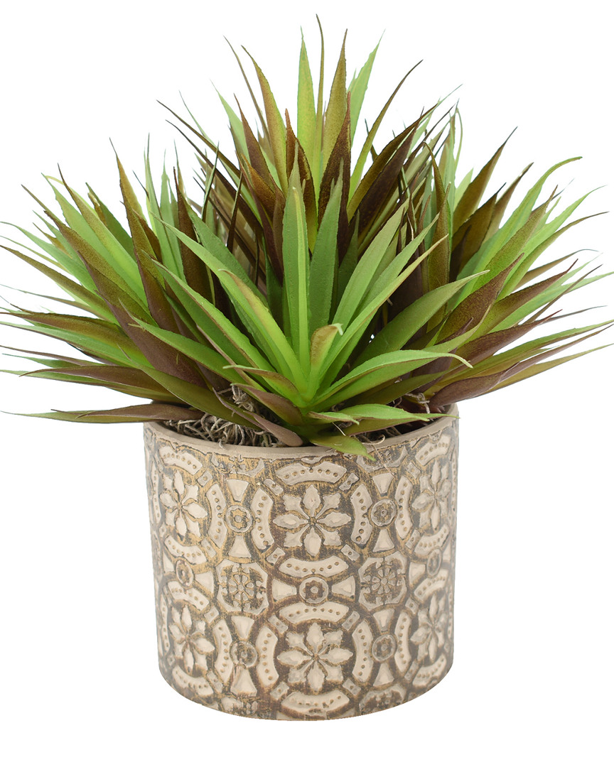 Creative Displays Purple/green Yucca Succulents