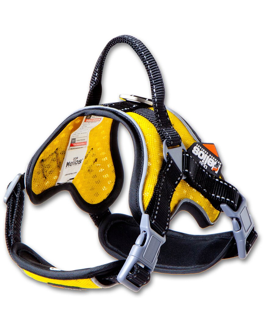 Dog Helios Scorpion Sporty High Performance Free In Yellow