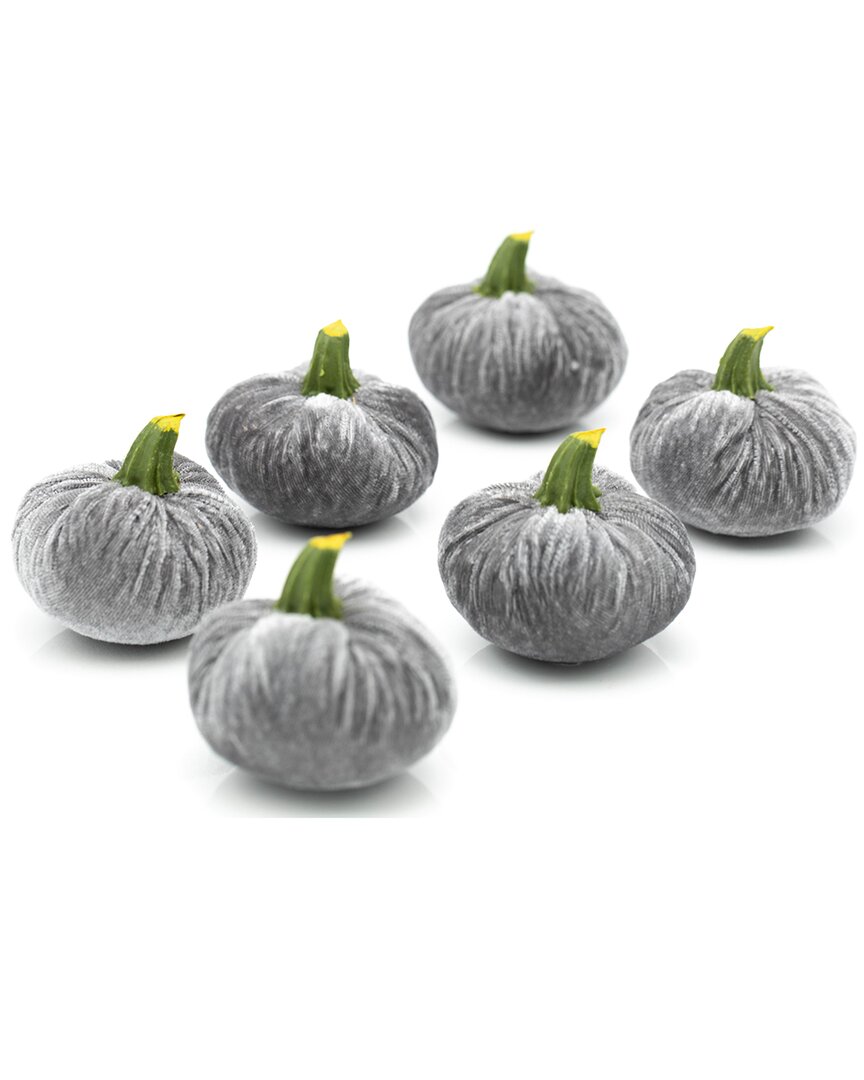 Flora Bunda Set Of 6 Small Velvet Pumpkins In Box In Gray