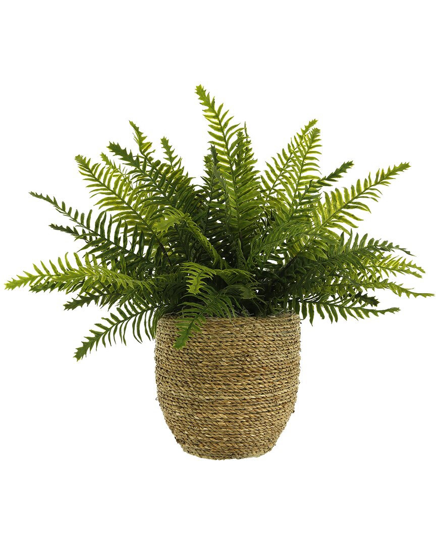 Creative Displays Outdoor Uv-rated Ostrich Fern In Straw Grass-wrapped Pot In Green