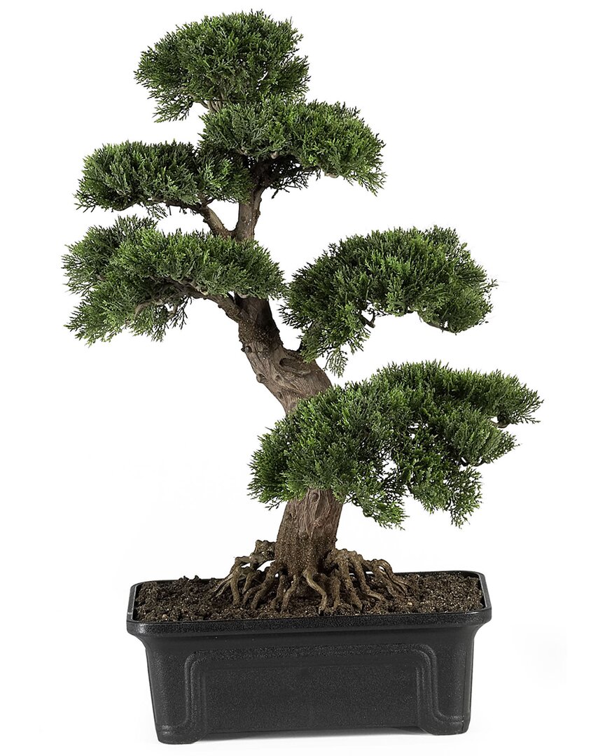 NEARLY NATURAL NEARLY NATURAL CEDAR BONSAI SILK PLANT