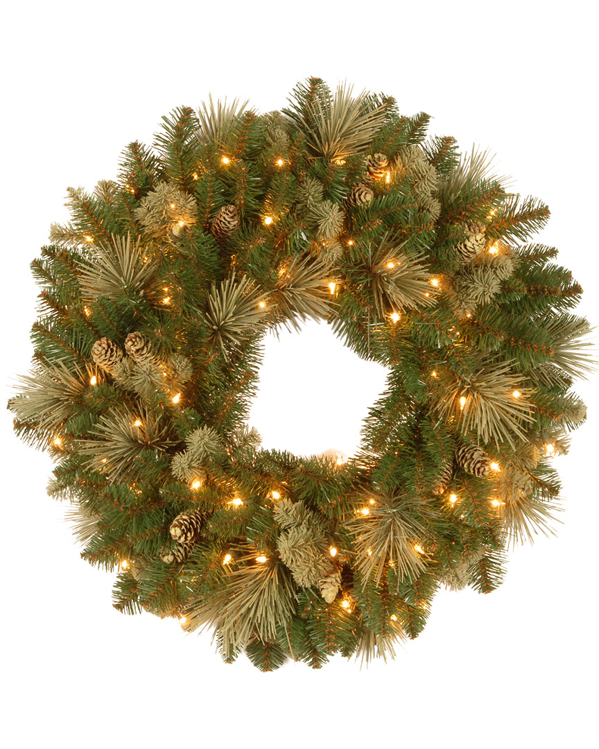 National Tree Company 24in Carolina Pine Wreath With 50 Battery Operated Led Lights