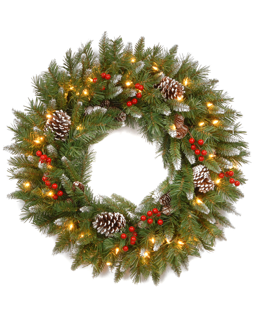National Tree Company 30in Frosted Berry Wreath With 100 Clear Lights