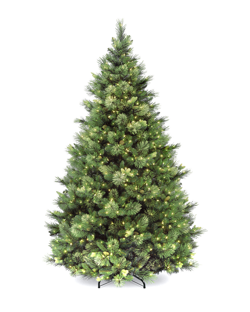 National Tree Company 6.5ft Carolina Pine Tree With 650 Clear Lights