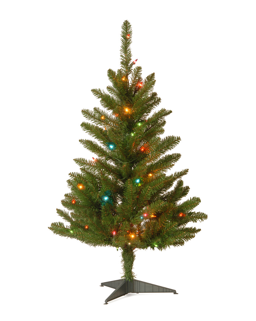 National Tree Company 3' Kingswood Fir Wrapped Pencil Tree With 50 Multi Lights