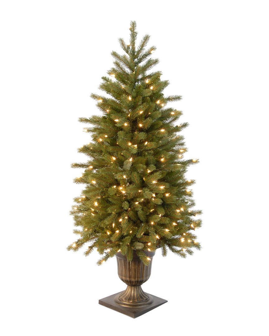 National Tree Company National Tree 4' Poly Jersey Fraser Fir Entrance Tree In Dark Bronze Plastic Pot With 100 Clear Ligh
