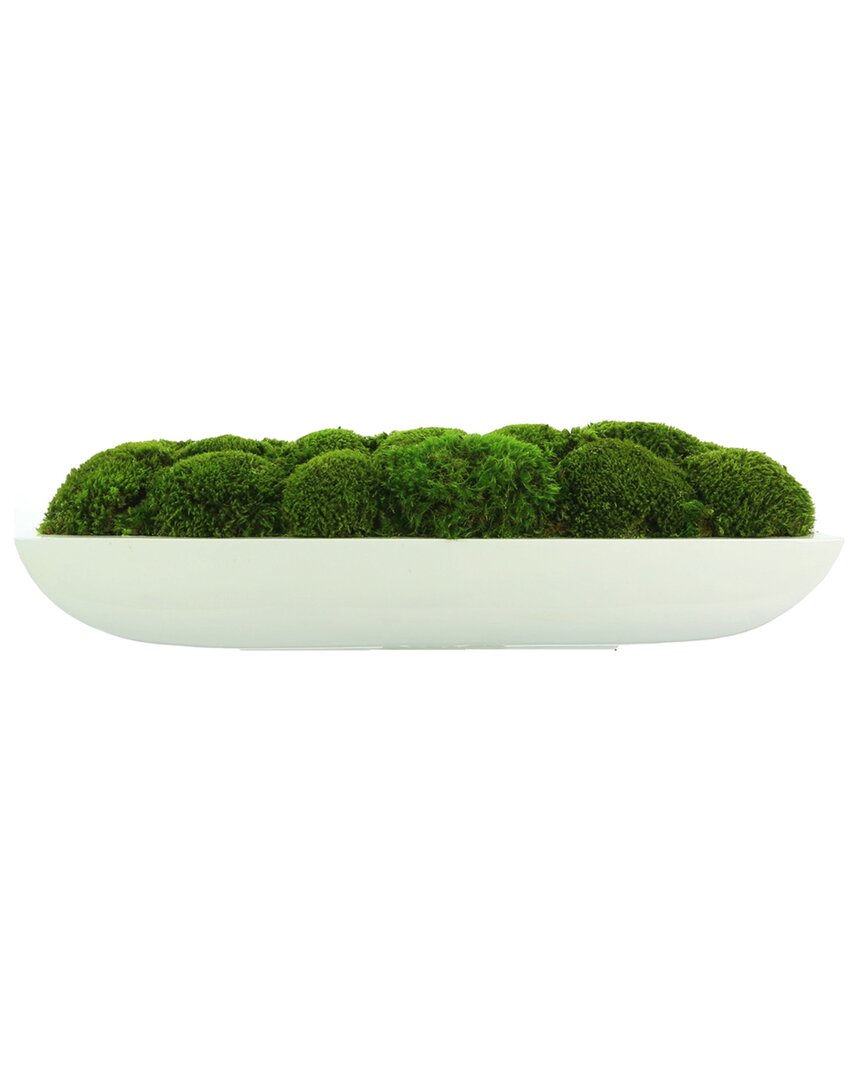 Creative Displays Moss Arranged In Glossy Oblong Planter In White