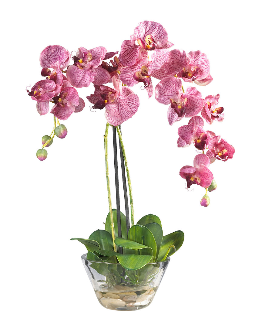 NEARLY NATURAL NEARLY NATURAL PHALAENOPSIS WITH GLASS VASE SILK FLOWER ARRANGEMENT