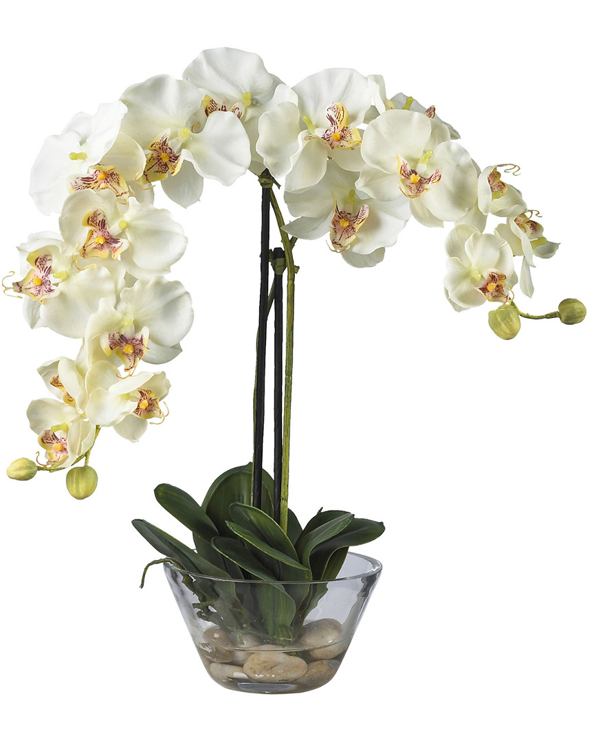 Shop Nearly Natural Phalaenopsis With Glass Vase Silk Flower Arrangement